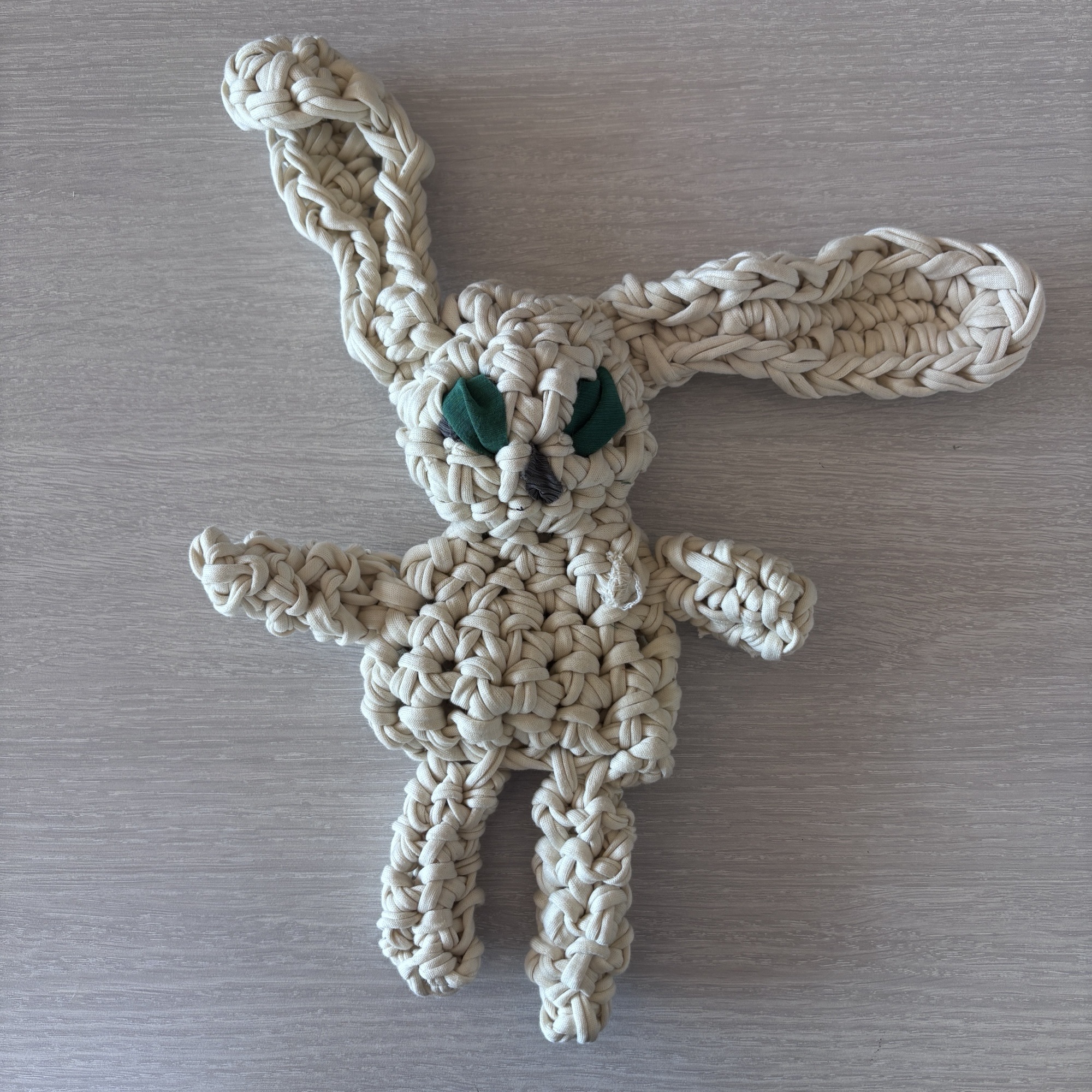 Vanadest T-särkidest koeralelu valmistamise töötuba